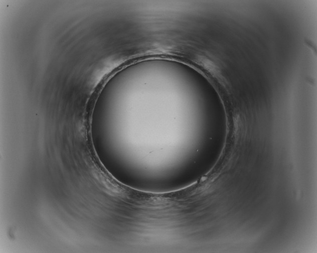 X0000099551308200805161442