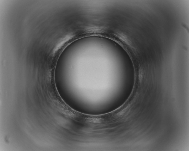 X0000099551309200805161442