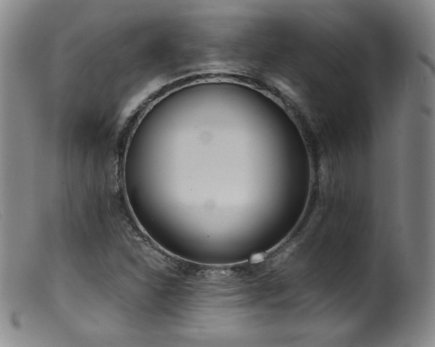 X0000099551310200805161442