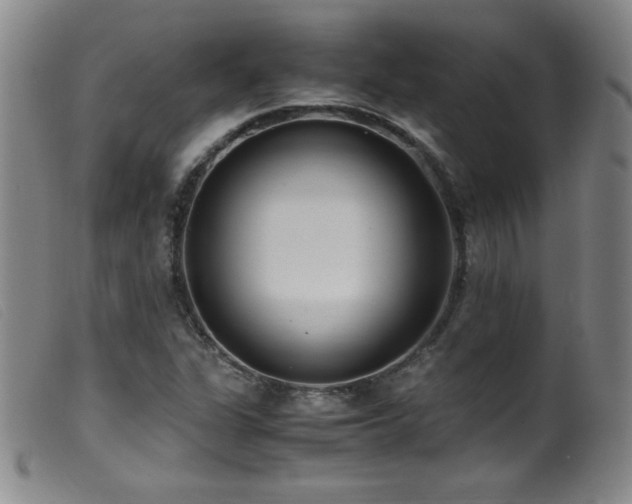 X0000099551311200805161442