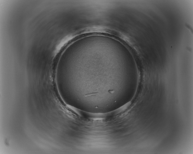 X0000099551312200805161442
