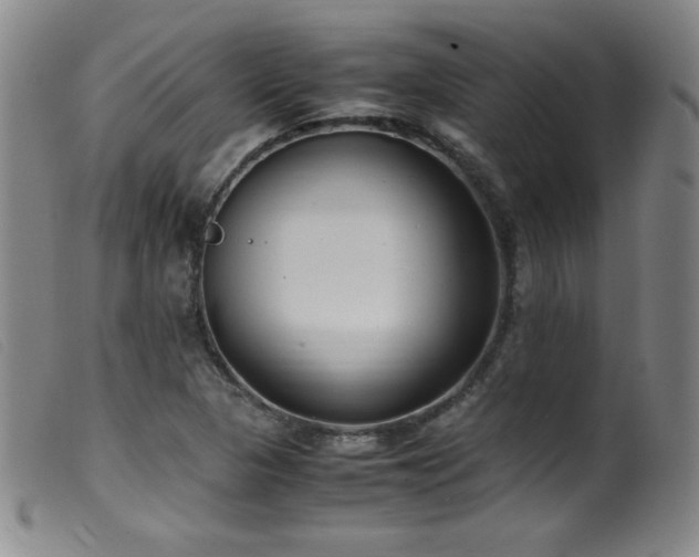 X0000099551313200805161442