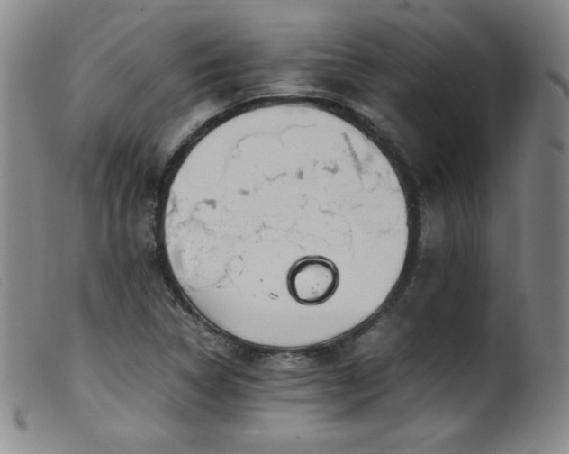 X0000099551314200805161442