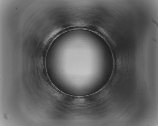 X0000099551315200805161442