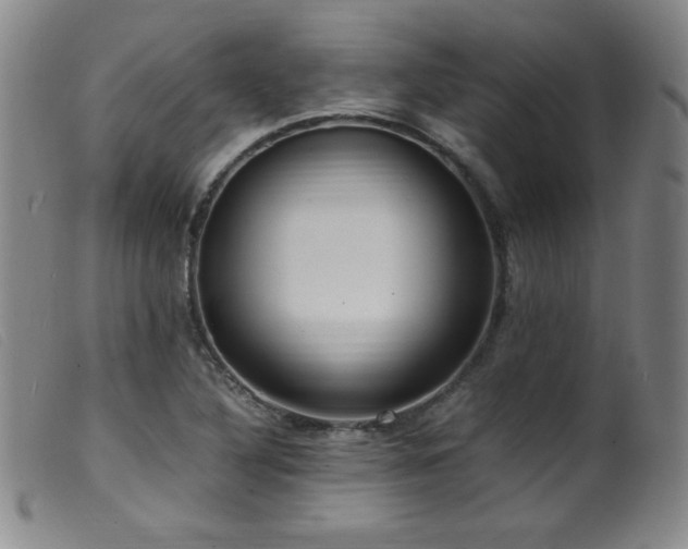 X0000099551316200805161442