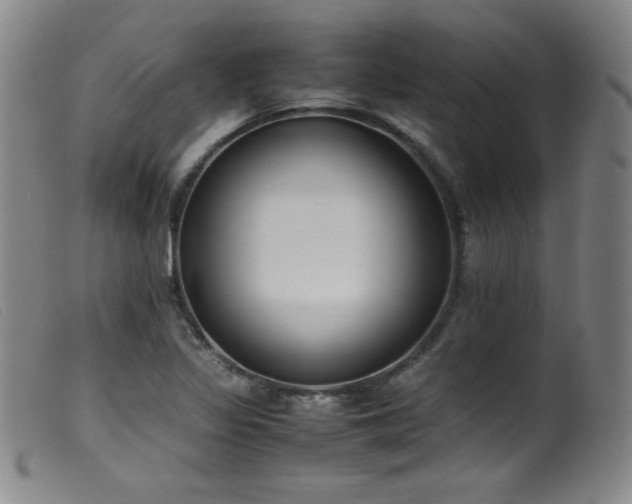 X0000099551317200805161442