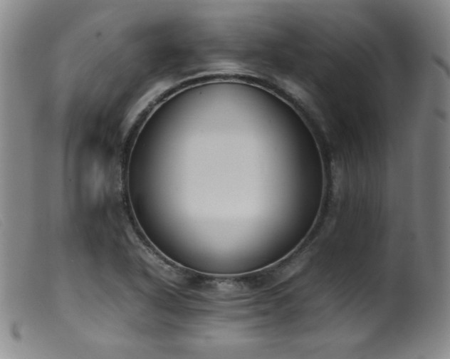 X0000099551318200805161442