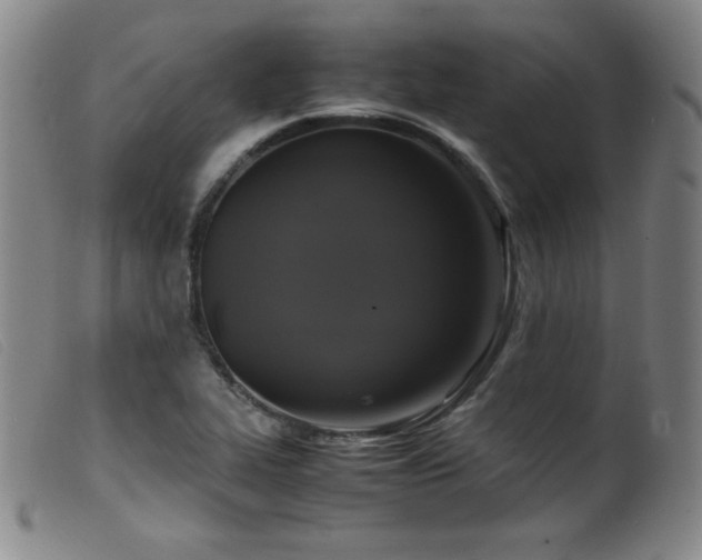 X0000099551319200805161442