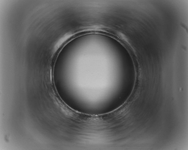 X0000099551320200805161442