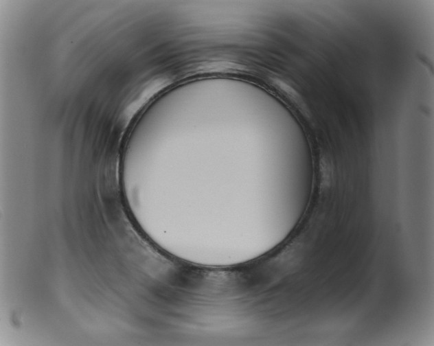 X0000099551322200805161442