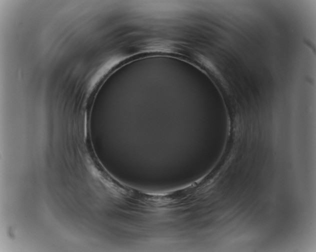 X0000099551323200805161442