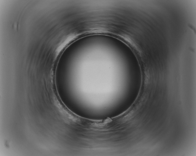 X0000099551325200805161442