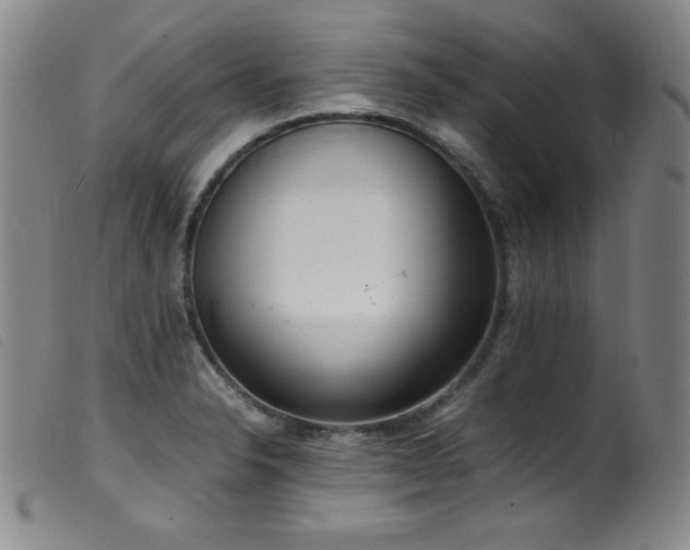 X0000099551326200805161442
