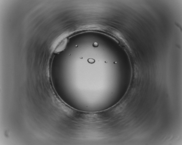 X0000099551328200805161442