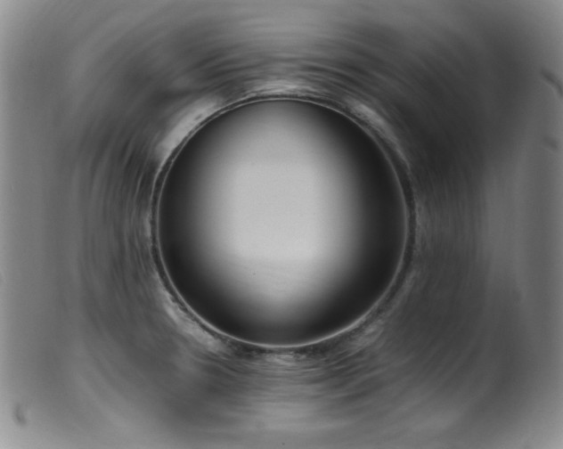 X0000099551330200805161442