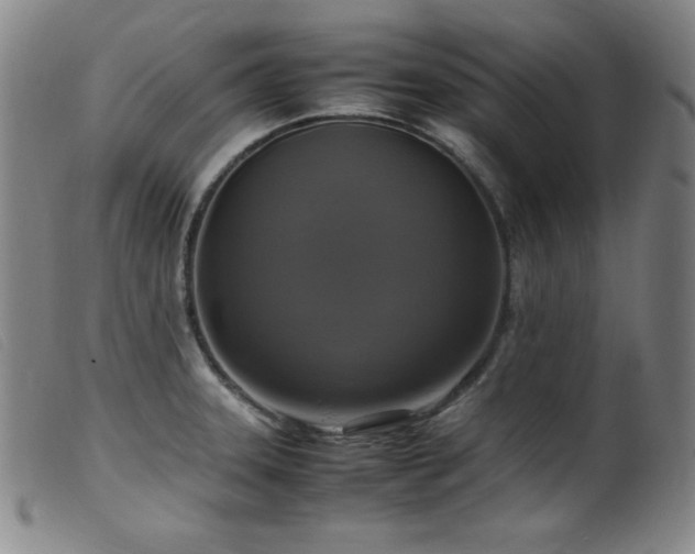 X0000099551331200805161442