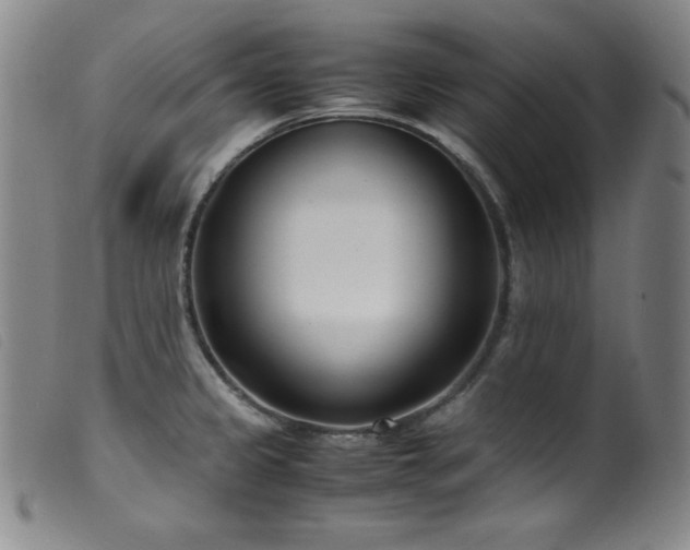 X0000099551333200805161442