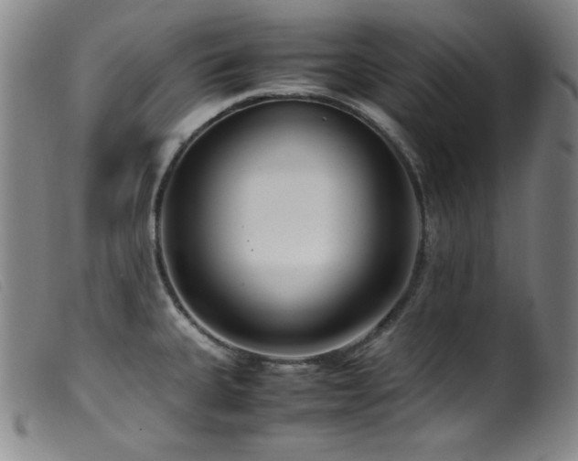 X0000099551335200805161442