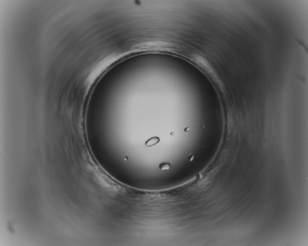 X0000099551336200805161442