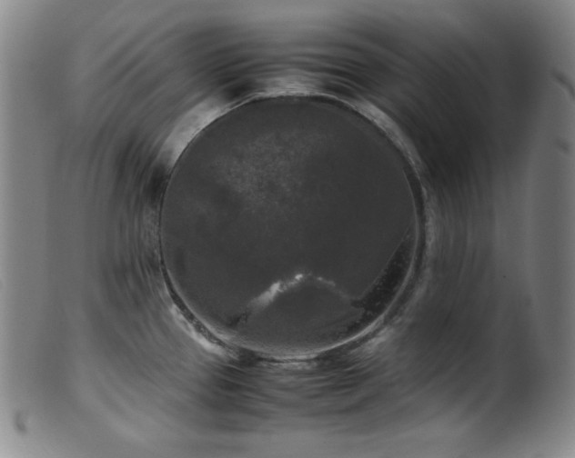 X0000099551337200805161442