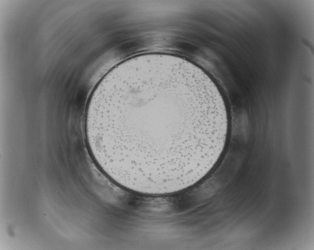 X0000099551338200805161442