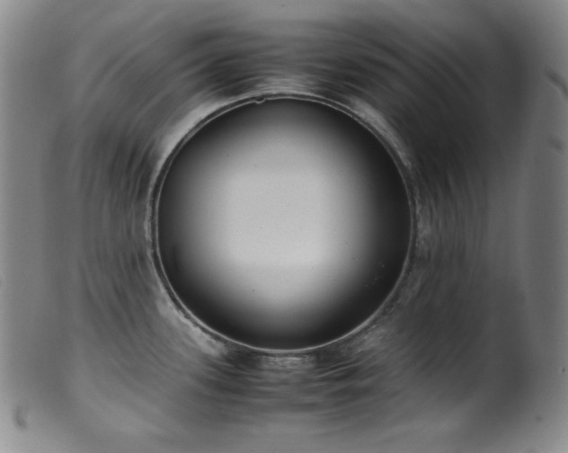 X0000099551339200805161442