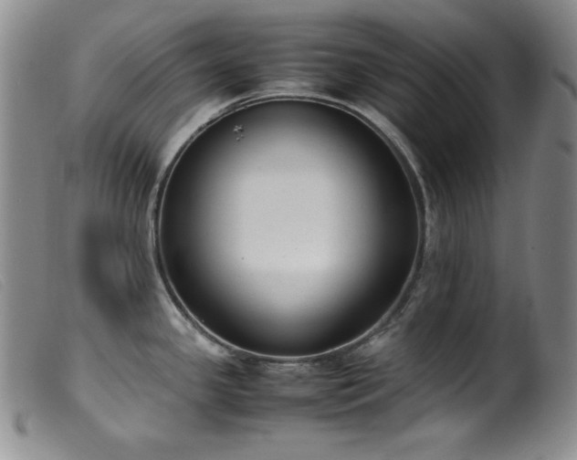 X0000099551341200805161442