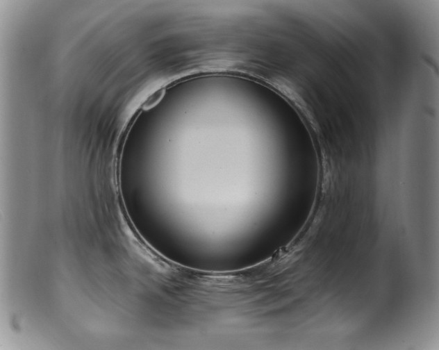 X0000099551342200805161442