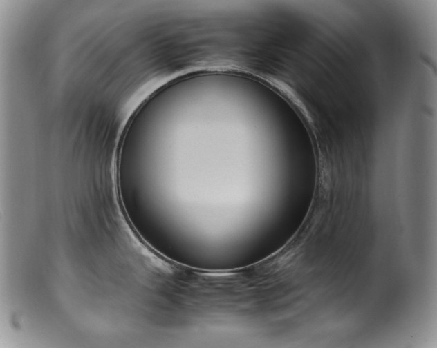 X0000099551343200805161442