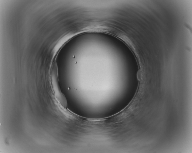 X0000099551344200805161442
