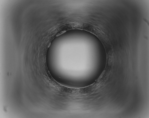 X0000099551345200805161441