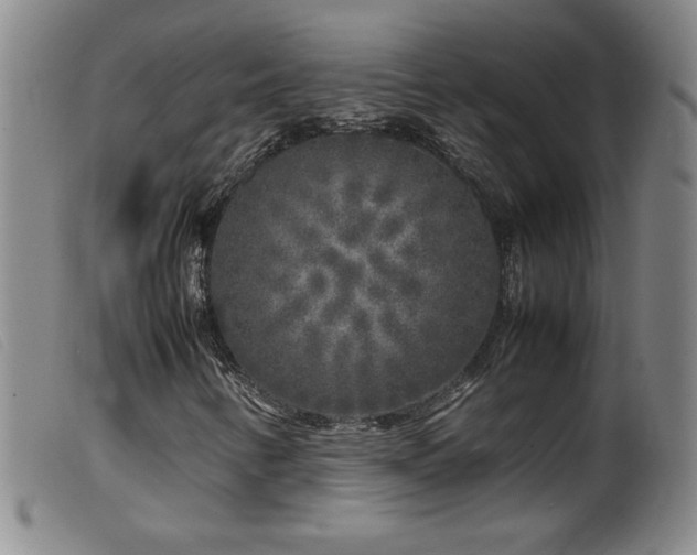X0000099551346200805161441