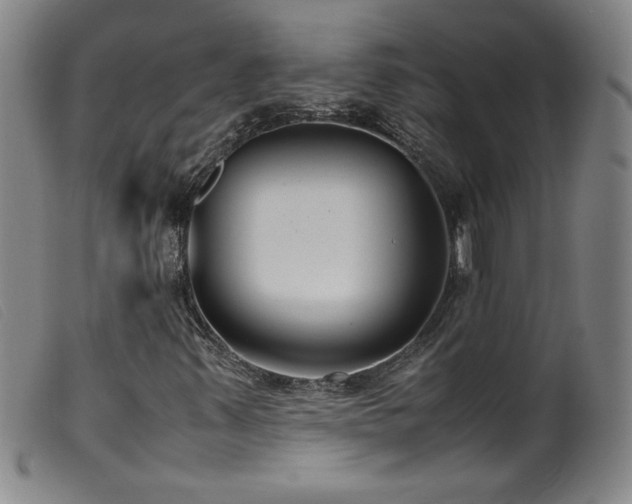 X0000099551347200805161441