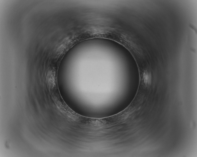 X0000099551348200805161441