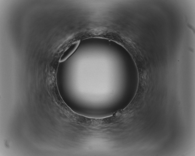 X0000099551349200805161441
