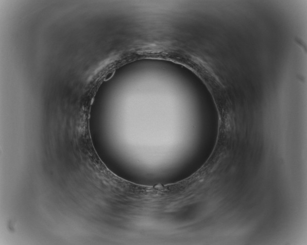 X0000099551350200805161441