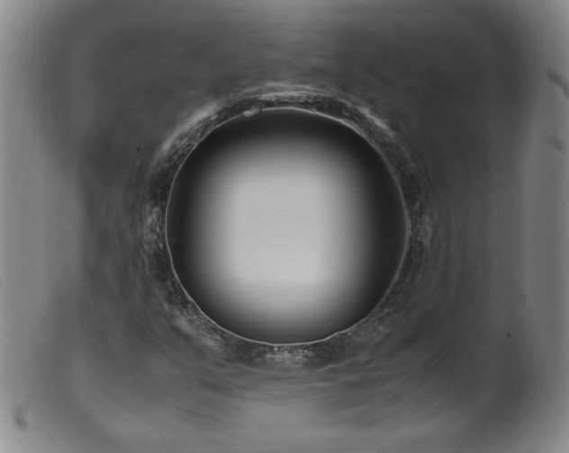 X0000099551351200805161441