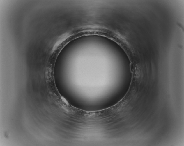 X0000099551352200805161441