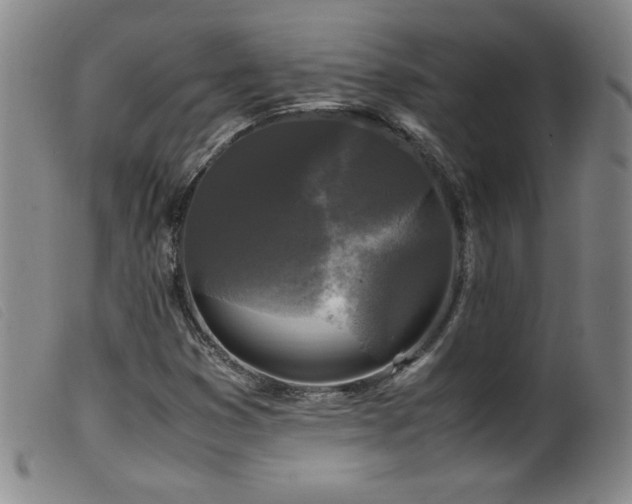 X0000099551353200805161441
