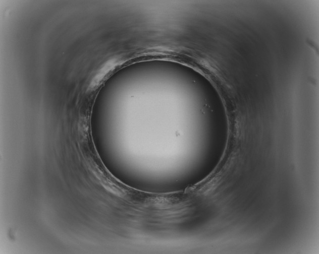 X0000099551355200805161441