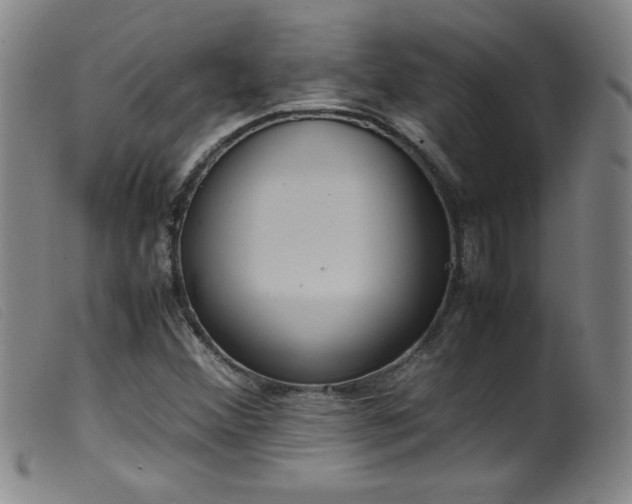 X0000099551356200805161441