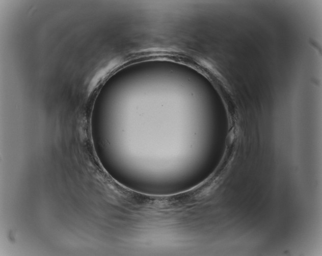 X0000099551357200805161441