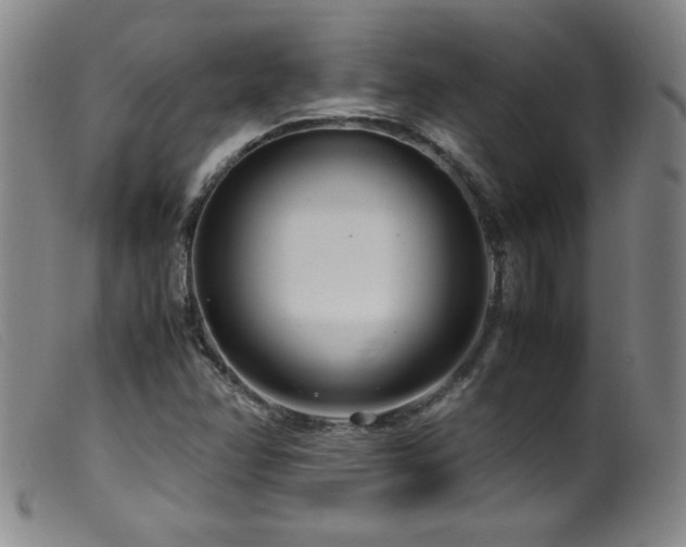 X0000099551358200805161441