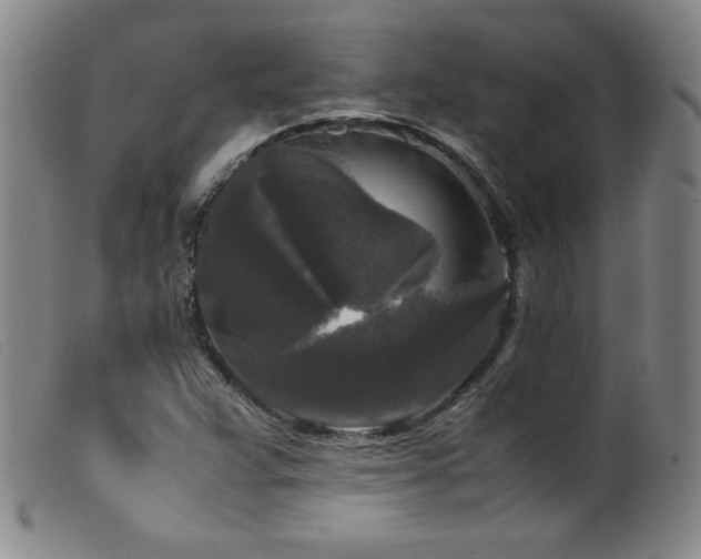 X0000099551359200805161441