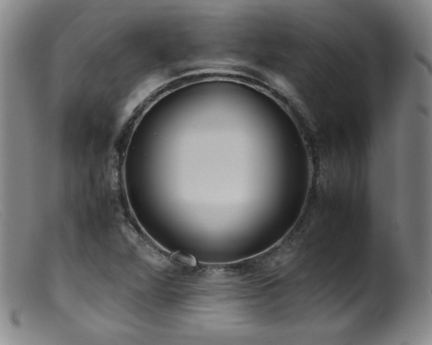X0000099551360200805161441