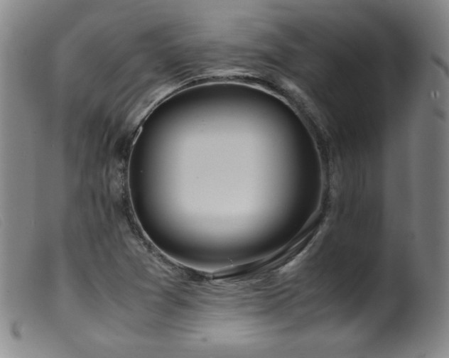 X0000099551361200805161441