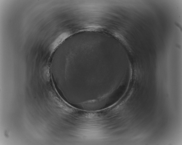 X0000099551362200805161441