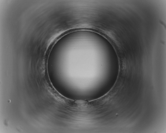 X0000099551364200805161441