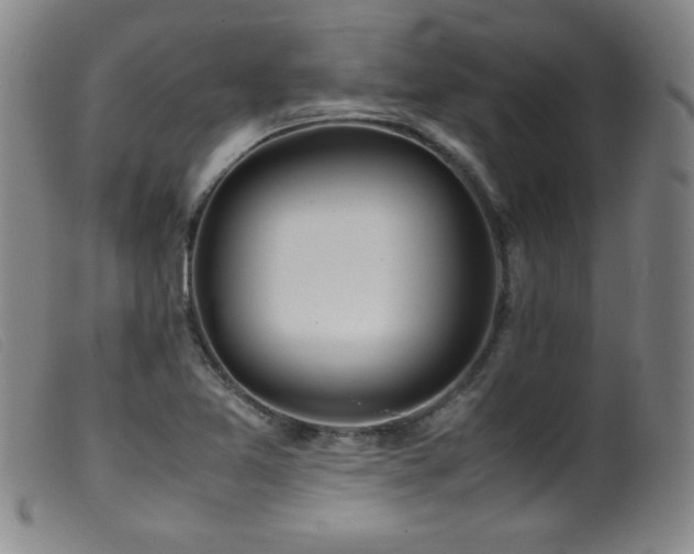 X0000099551365200805161441