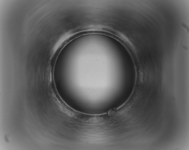 X0000099551368200805161441